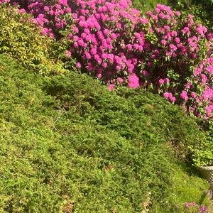 Meet your Posher, Jacinta